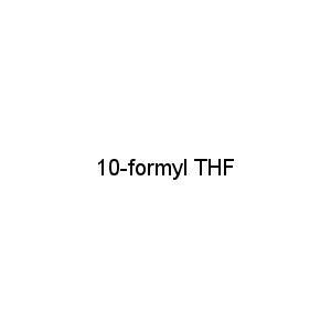 10-formyl THF